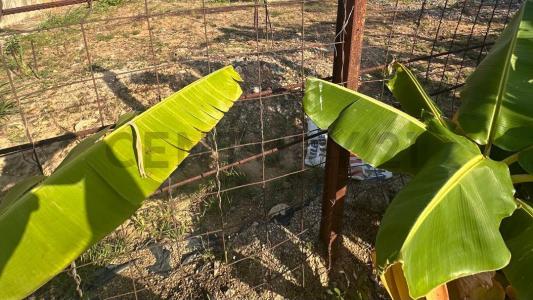 1 Guataparo Country Club, Valencia, Carabobo 2001, Venezuela