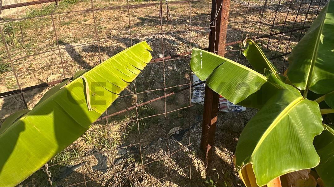 1 Guataparo Country Club, Valencia, Carabobo 2001, Venezuela
