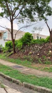 1 TERRAZAS DEL COUNTRY, Valencia, Carabobo 2001, Venezuela