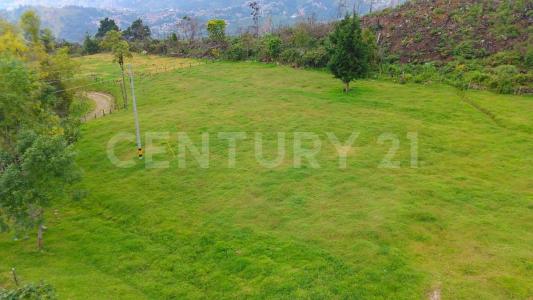 Medellín, Antioquia 050036, Colombia