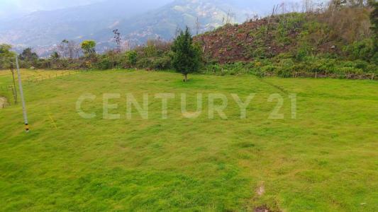 Medellín, Antioquia 050036, Colombia