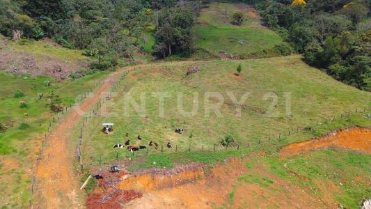 Medellín, Antioquia 050036, Colombia