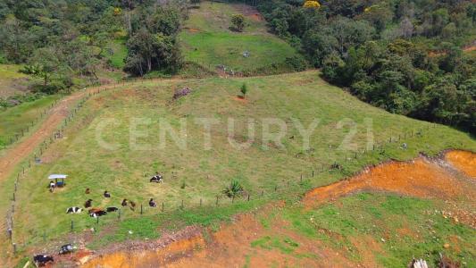 Medellín, Antioquia 050036, Colombia