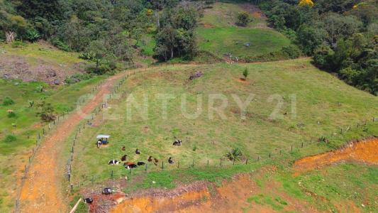 Medellín, Antioquia 050036, Colombia