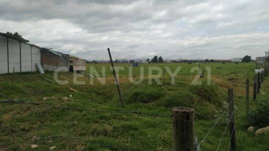 Funza, Кундинамарка 00001, Колумбия