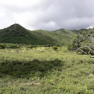 Guatamare Terreno Guatamare, La Asunción, Nueva Esparta 00001, Venezuela