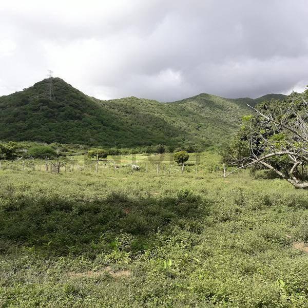 Guatamare Terreno Guatamare, La Asunción, Nueva Esparta 00001, Venezuela