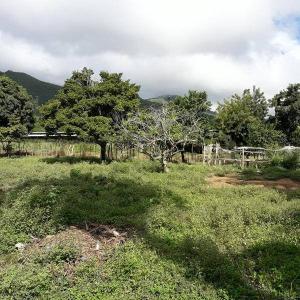 Guatamare Terreno Guatamare, La Asunción, Nueva Esparta 00001, Venezuela