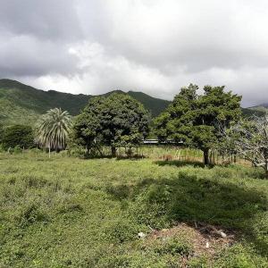 Guatamare Terreno Guatamare, La Asunción, Nueva Esparta 00001, Venezuela