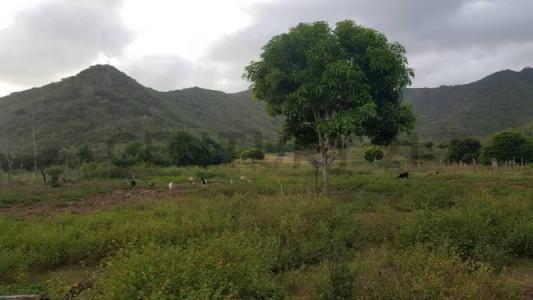 Guatamare Terreno Guatamare, La Asunción, Nueva Esparta 00001, Venezuela