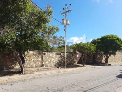 Calle Rojas Terreno, La Asunción, Nueva Esparta 6311, Venezuela