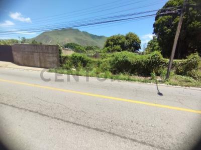 Principal Tereno, La Asunción, Nueva Esparta 5201, Venezuela