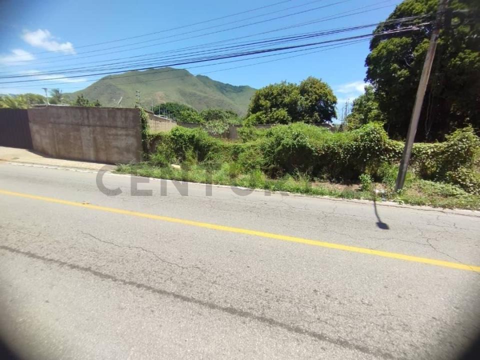 Principal Tereno, La Asunción, Nueva Esparta 5201, Venezuela