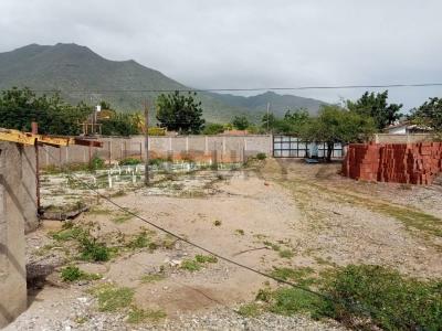 Conuco Alto ; sabana de Guacuco Terreno El hato Guacuco con Proyecto Pitiguey, La Asunción, Nueva Esparta 6311, Venezuela