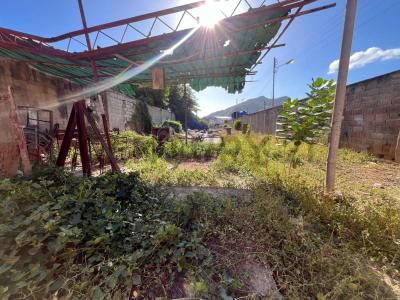 La paralela Lote, Porlamar, Nueva Esparta 00001, Venezuela