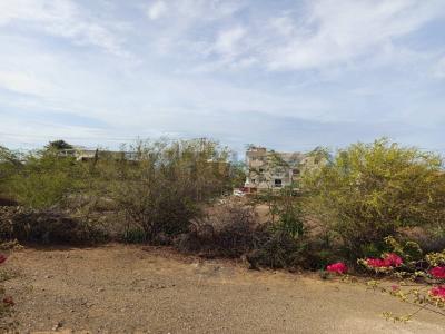 Proyecto Terreno, San Juan Bautista, Nueva Esparta 6301, Venezuela