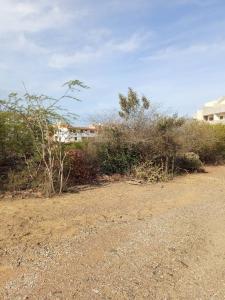 Proyecto Terreno, San Juan Bautista, Nueva Esparta 6301, Venezuela