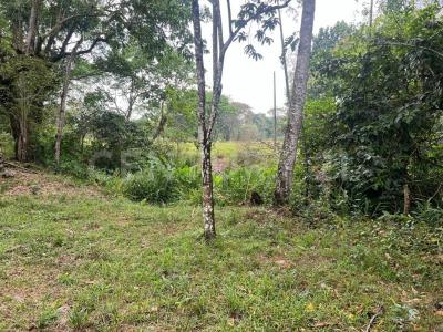 Villavicencio, Meta 00001, Colombia