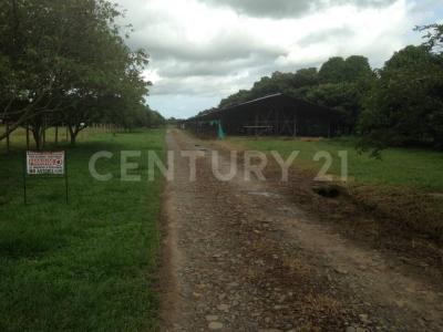 Villavicencio, Meta 00001, Colombia