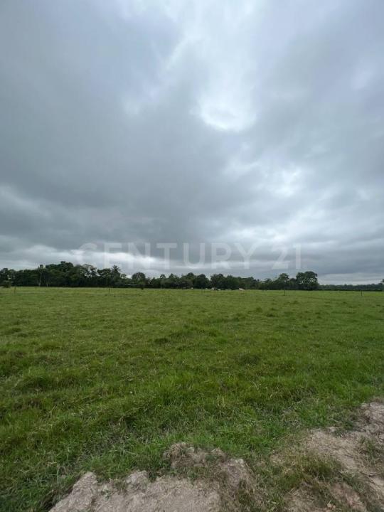 Villavicencio, Meta 502001, Colombia