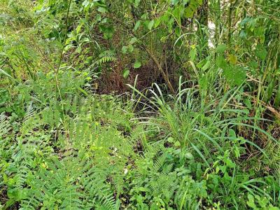 Ruta 2 74, San Antonio De Los Altos, Miranda 00001, Venezuela