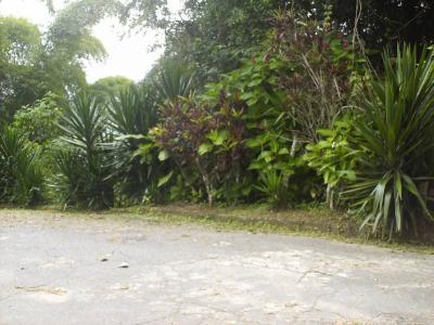 Falcón G-12, Caracas, Miranda 00001, Venezuela