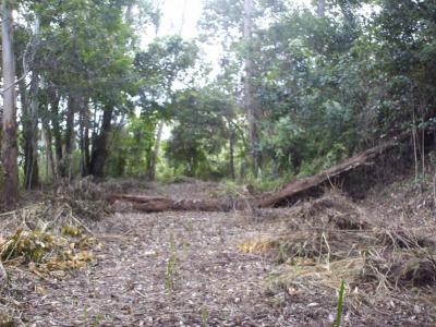 Falcón G-12, Caracas, Miranda 00001, Venezuela