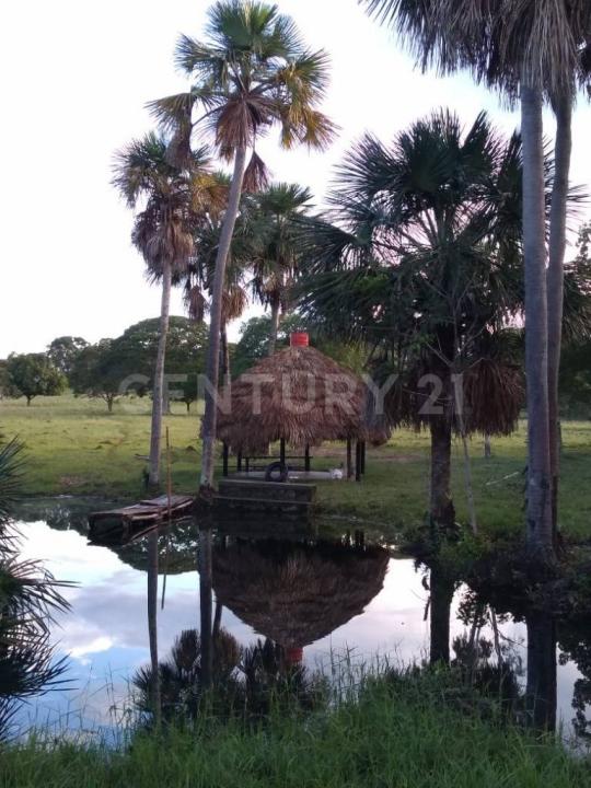 Puerto López, Meta 502001, Kolumbien