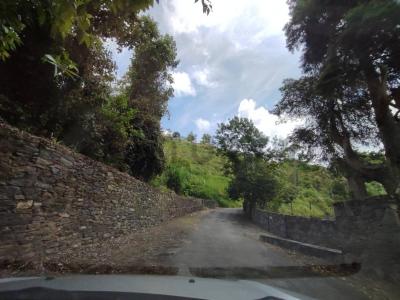 Tiuna 50-FA, San Antonio De Los Altos, Miranda 1204, Venezuela