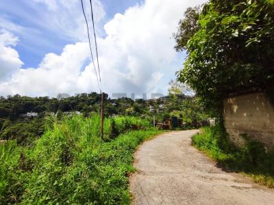 Tiuna 50-FA, San Antonio De Los Altos, Miranda 1204, Venezuela