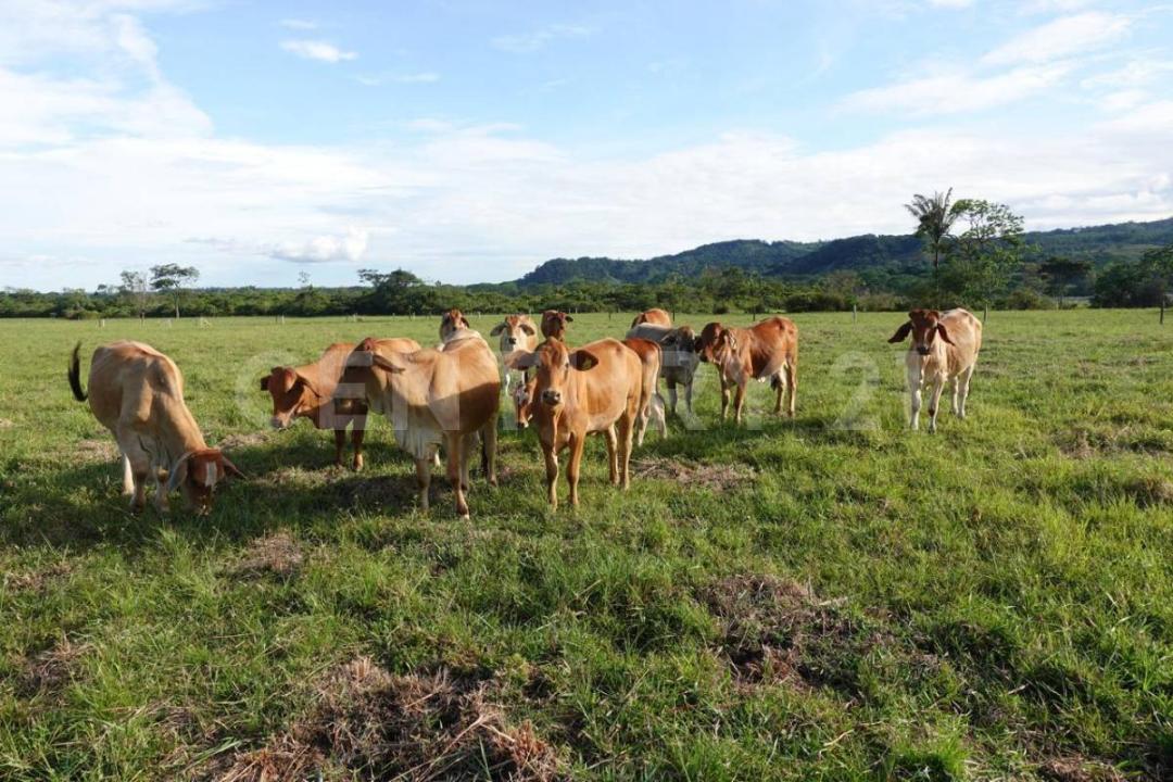 Villavicencio, Meta 00001, Kolumbien