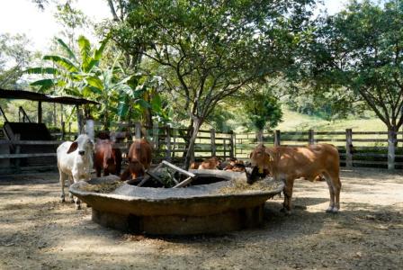 Villavicencio, Meta 00001, Kolumbien