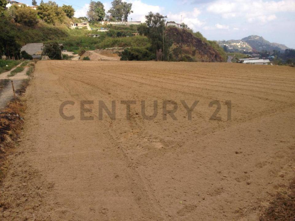 Principal q, San Antonio De Los Altos, Miranda 1204, Venezuela