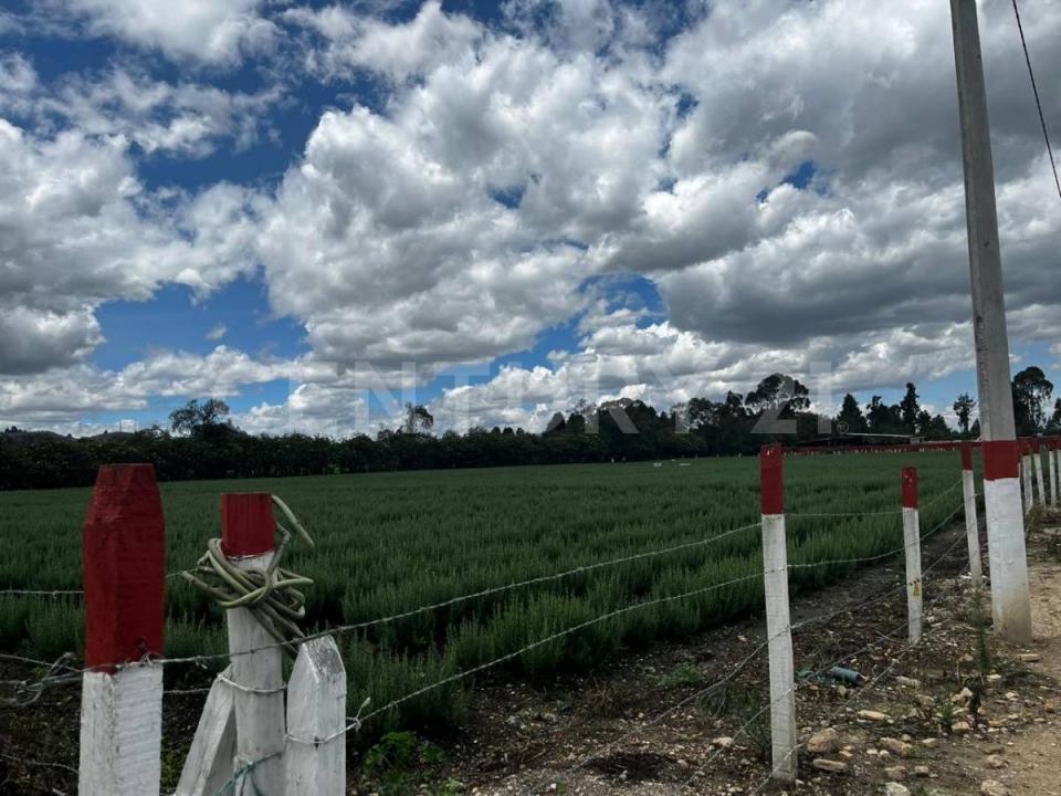 Madrid, Cundinamarca 00001, Colombia