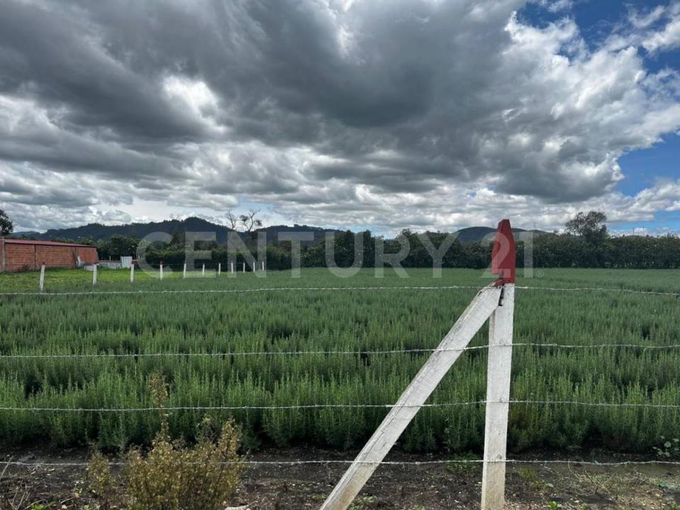 Мадрид, Кундинамарка 00001, Колумбия