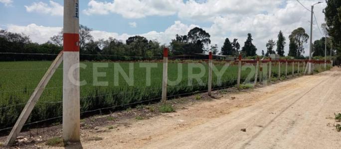 Madrid, Cundinamarca 00001, Colombia