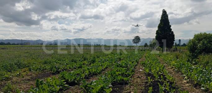 Funza, 昆迪納馬卡 00001, 哥倫比亞