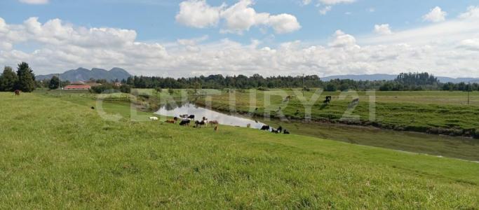 Funza, Cundinamarca 00001, Colombia