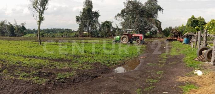 Funza, Cundinamarca 00001, Colombia
