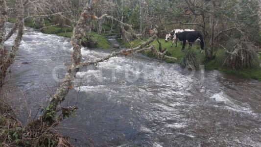 Aquitania, בויאקה 152420, קולומביה 