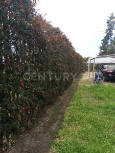 Cajica, Cundinamarca 250240, Colombia