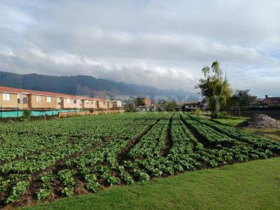 Cajica, Кундинамарка 250240, Колумбия