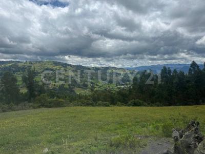 Ubate, Cundinamarca 00001, Colombia