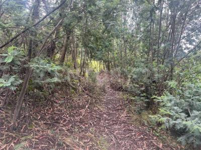 Ubate, Cundinamarca 00001, Colombie