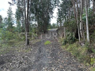 Ubate, Cundinamarca 00001, Colombie