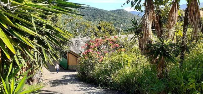 Caracas, Distrito Capital 00001, Venezuela