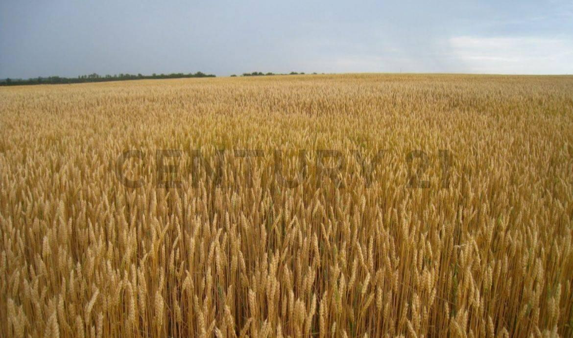 , Villa María, Kordoba 00001, Argentyna