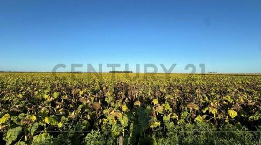 - , Laboulaye, Cordoba 00001, Argentina