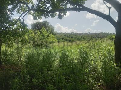 Santa Lucía, Miranda 1214, Venezuela