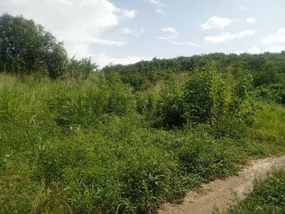 Santa Lucía, Miranda 1214, Venezuela